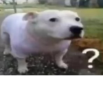 Pouigsa