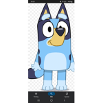 Bluey Fans (REAL)