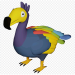 Dodo birb Kingdom
