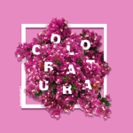 Coloratura Co.