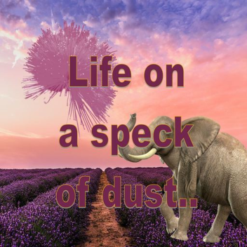 Elephant Hears a Who