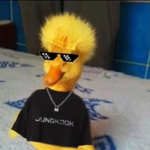 MooMooTheCowStudios