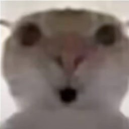 練習場