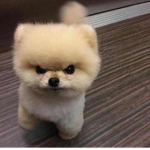 We da gamers clan