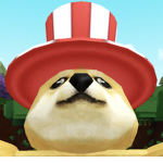 Doge Club~