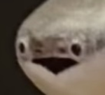ii_Dqrki