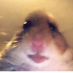 BlueMoonxBear