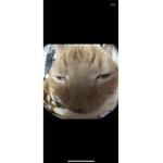 KDWY