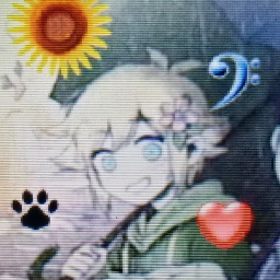 🌻