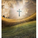 Mrs.flips