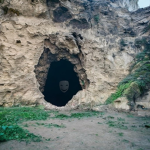 The Elder's Hive