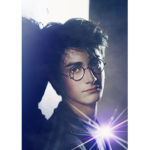 Harry Potter $quad