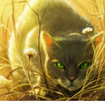 Autumn'Fur RPs