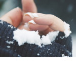 ♥ Snowy's Fans ^.~ ♥