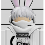 RingSayeed
