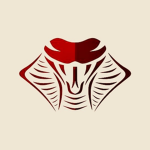 Ｐｙｔｈｏｎ. Ｃｌｏｔｈｉｎｇ