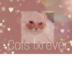 •Cats fxrever•