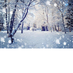 Falling Snow