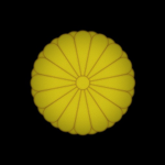 Tantō Dōjō