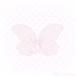 ⊱  ۫ ׅ 🩰✧୨୧