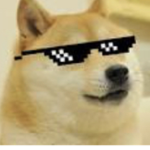 DogeR YT Official