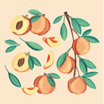 oh a peach!
