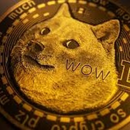 Doge City