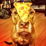 Max :) OFICIAL
