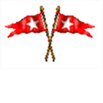 R.M.S  DERRY