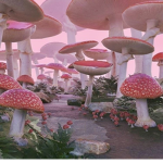 ·ᴗ· mushrooms ·ᴗ·