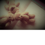 teddy-bear's