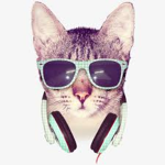 #Kat Clan