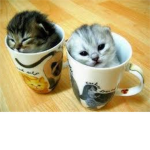 that is too cute