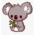 Koala Wildlife