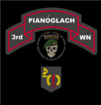 3rd Irish Army Rangers Wing