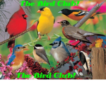 The Bird Club!