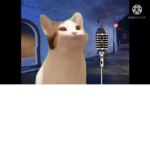 Popcat Premium