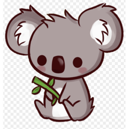 Koala race