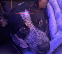 #### ####