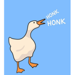 The goose and duck gang