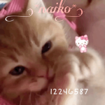 naiko