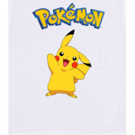 FAN DE POKEMON