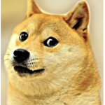 Doge And Men Studio
