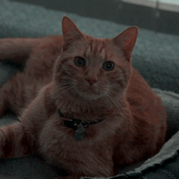 •