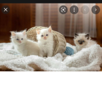 EllaIsabel77’s group