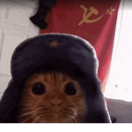 sigmma alphawolf gamersgigachad gang