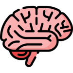 Unique Mind Studio