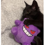 the buddies yt fan group