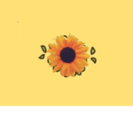Yellow Vibes
