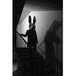 BUNNIES FUN
